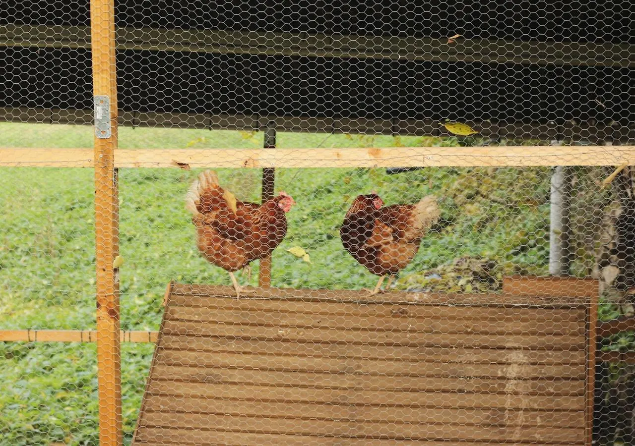 Casa rural Can Gich Espacio Rural Celrá